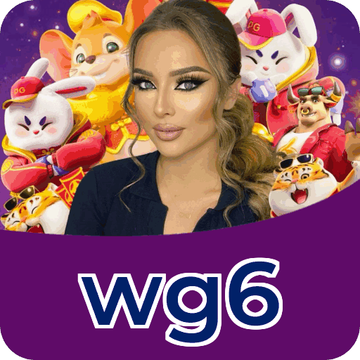 wg6 no Facebook — privacidade Meta e política LGPD